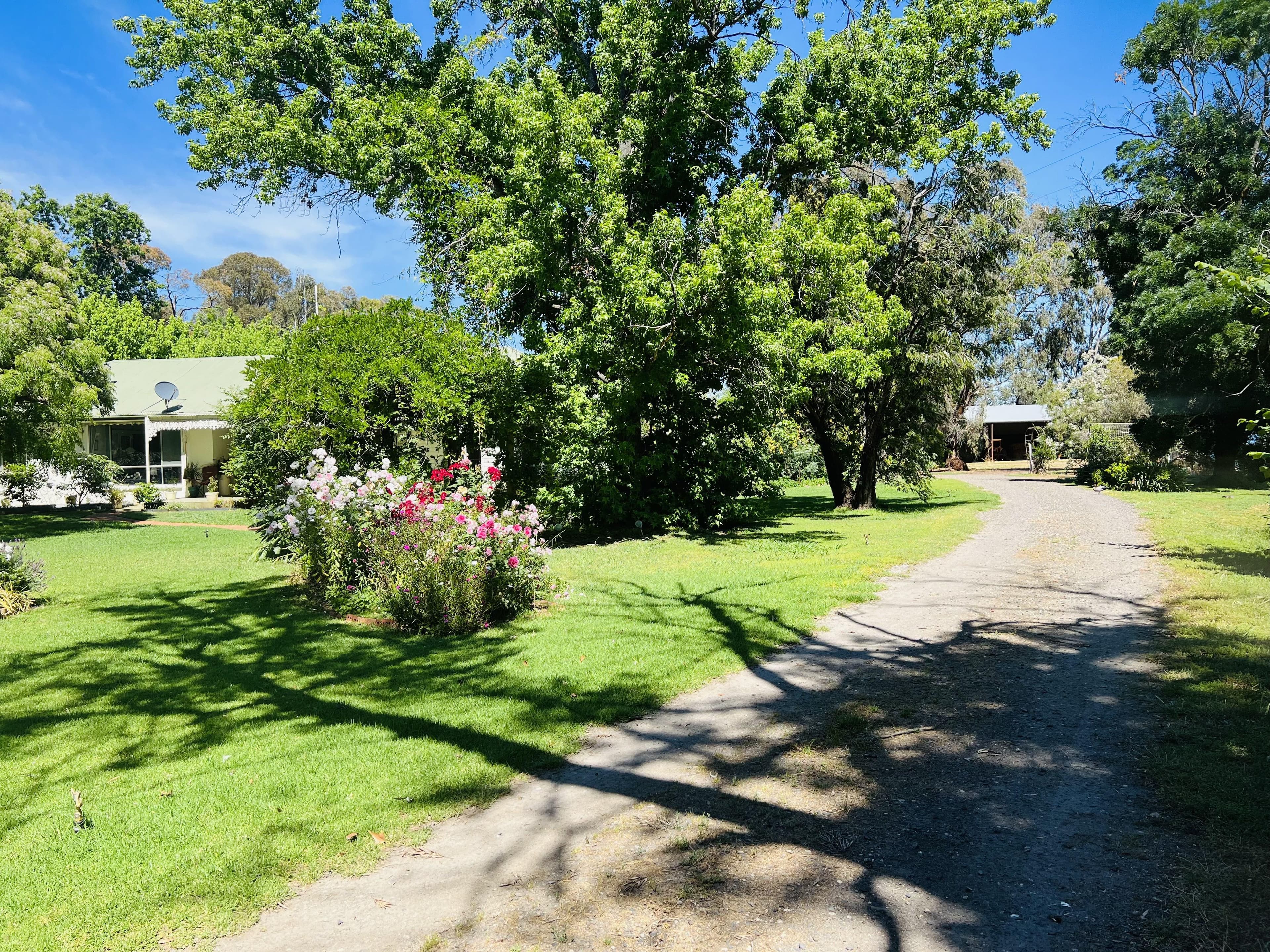 651 Jerilderie Road, Berrigan NSW 2712