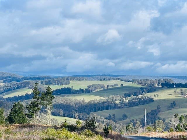 208 Blomfield Road, Yarrowitch NSW 2354